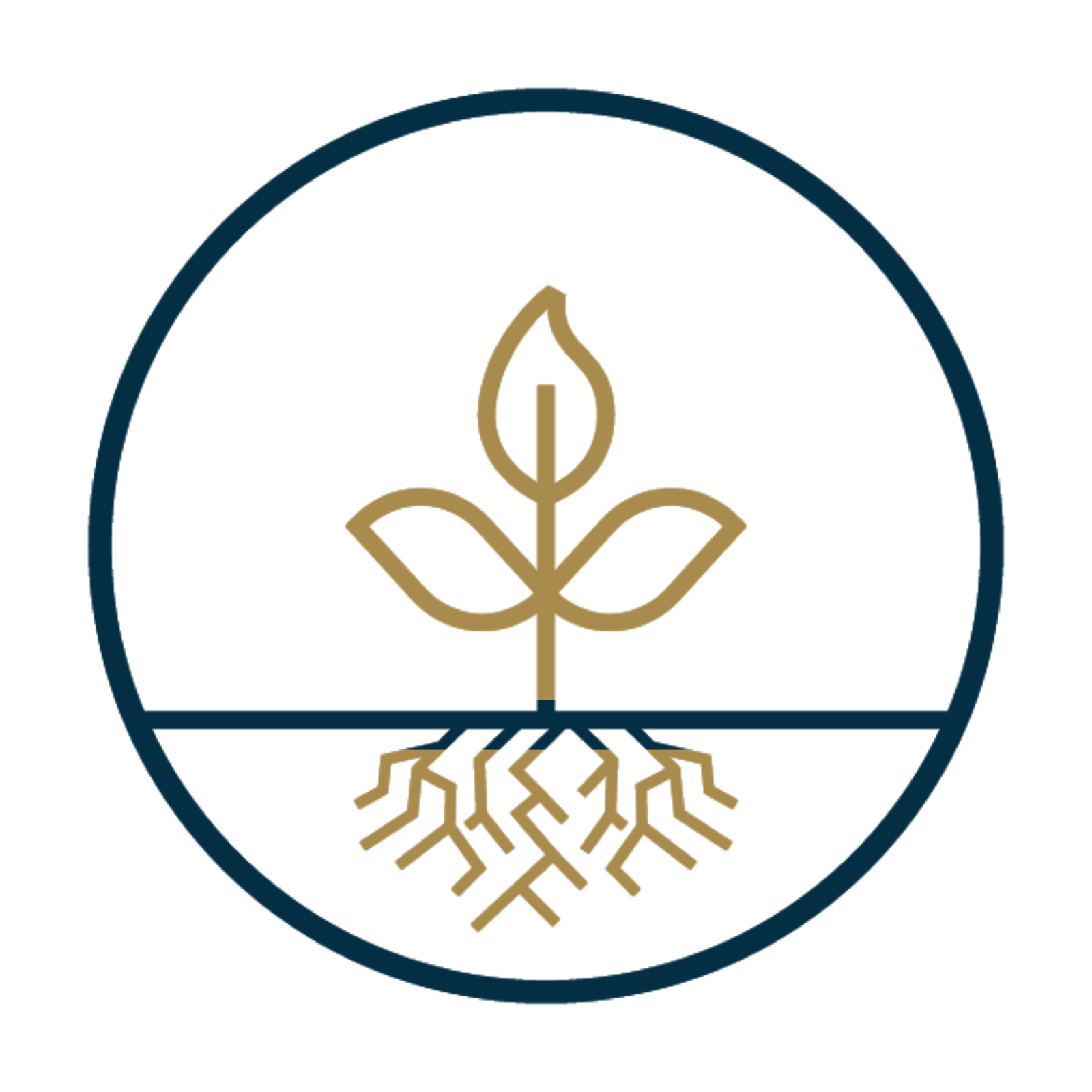Gold bitcoin symbol overlaying a dark digital background, representing cryptocurrency.