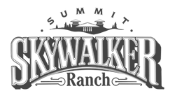 logo_skywalker_gray1.png
