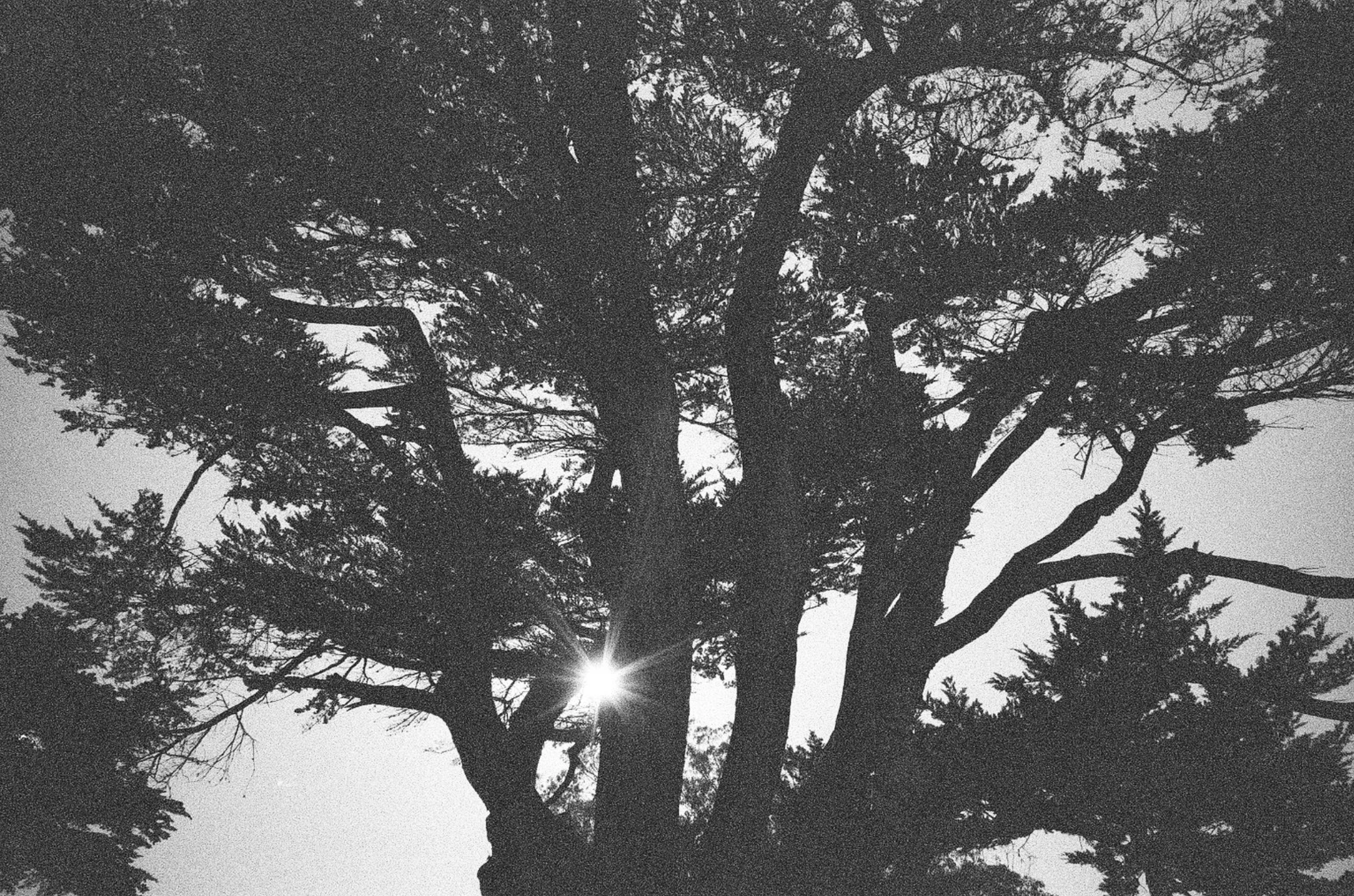 Screenshot 2025-12-04 at 11.57.50 AM.png