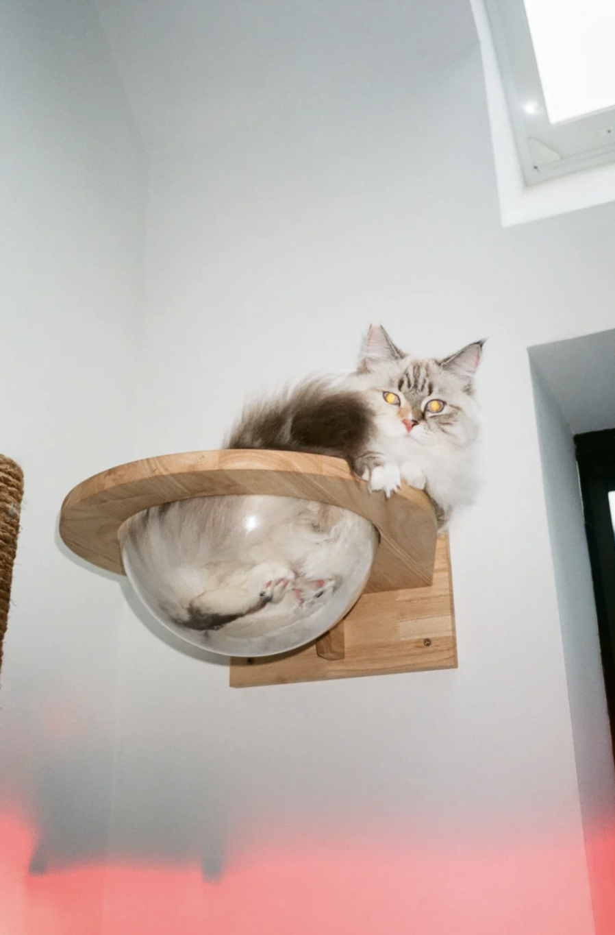 Screenshot 2025-12-04 at 11.32.58 AM.png