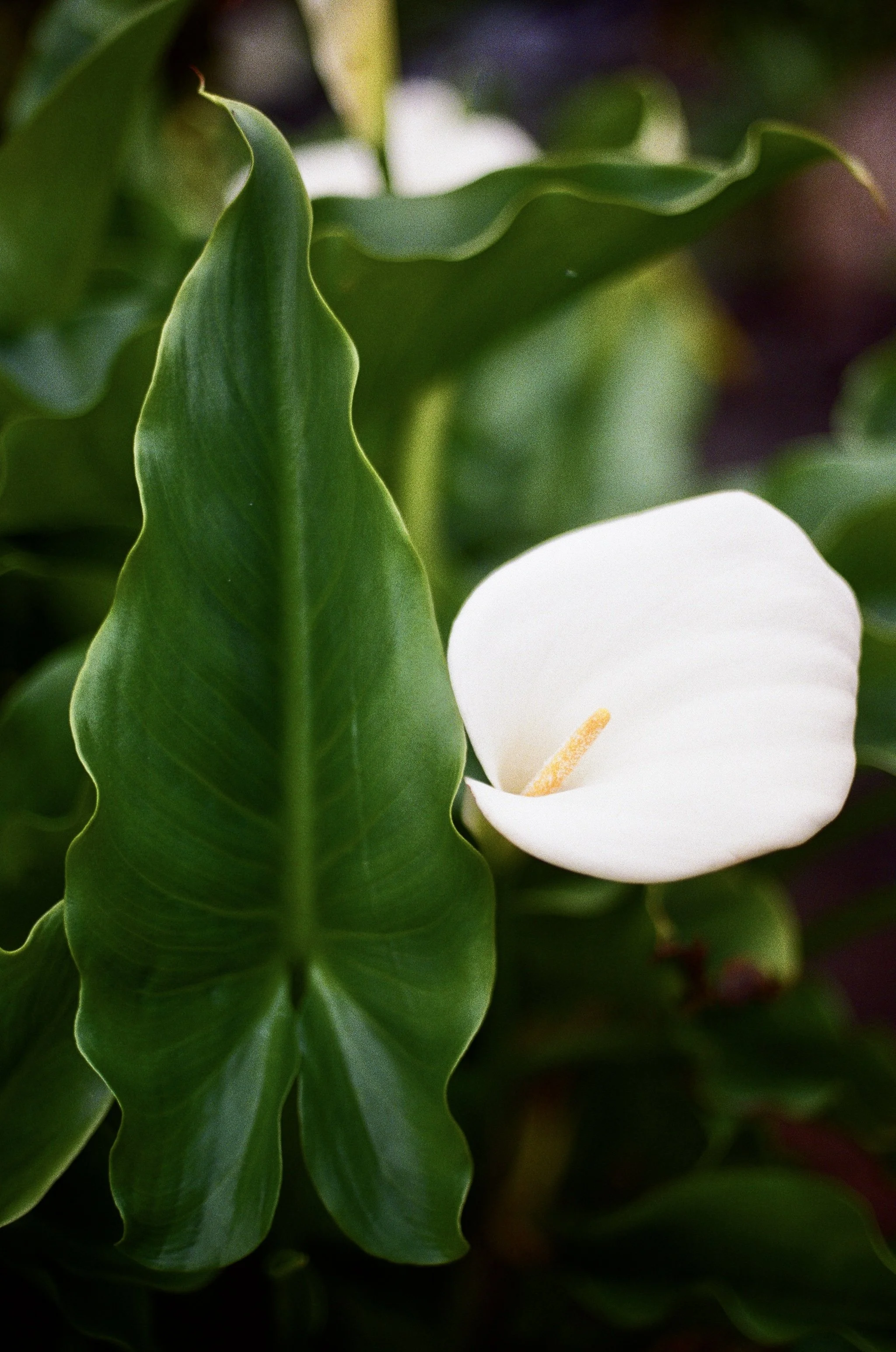 000037050024_26 2.jpg