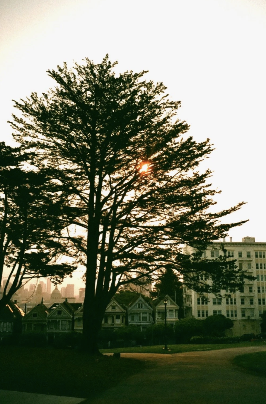 Screenshot 2025-12-04 at 11.33.30 AM.png