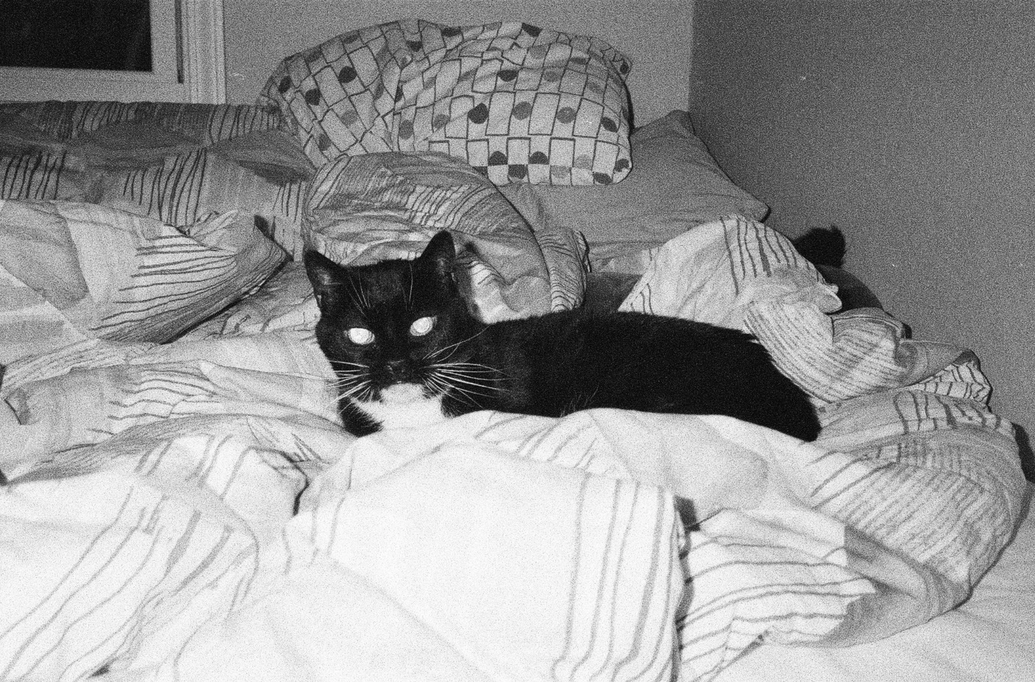 Screenshot 2025-12-04 at 11.57.00 AM.png