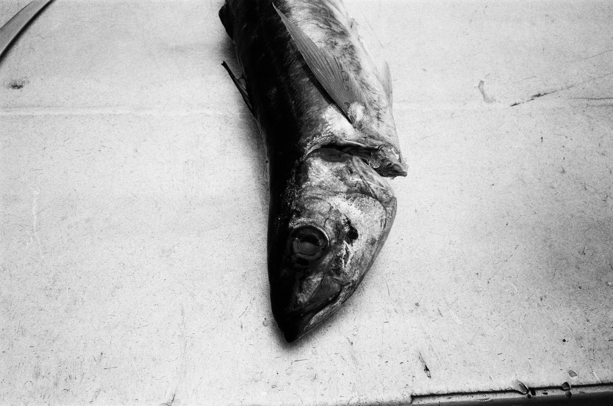 001139020010_15A.jpg