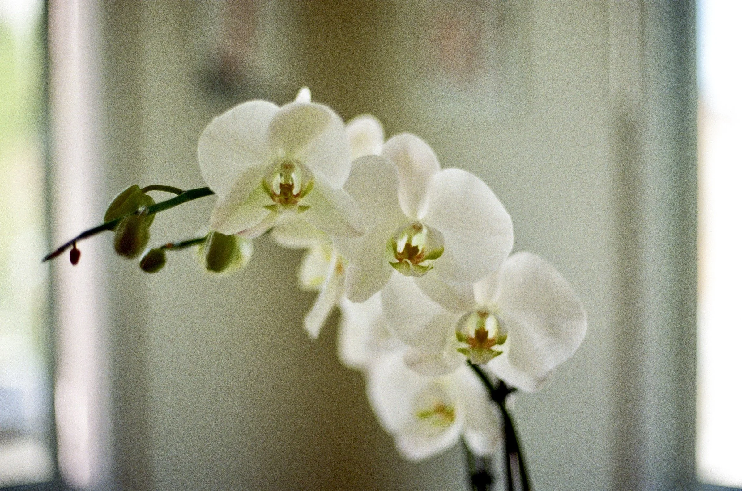 000951190028_27A 2.jpg