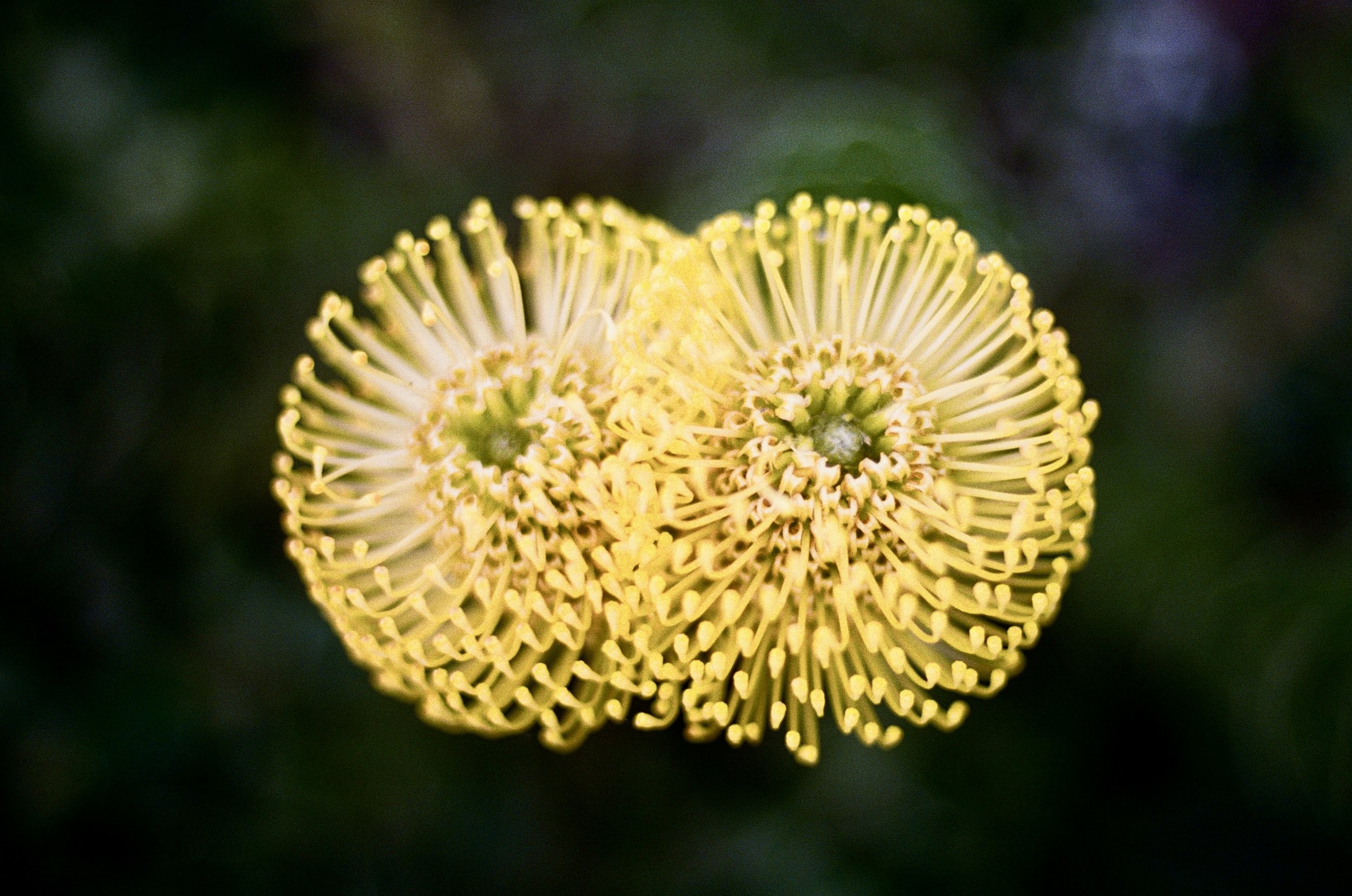 000037060019_19A 2.jpg