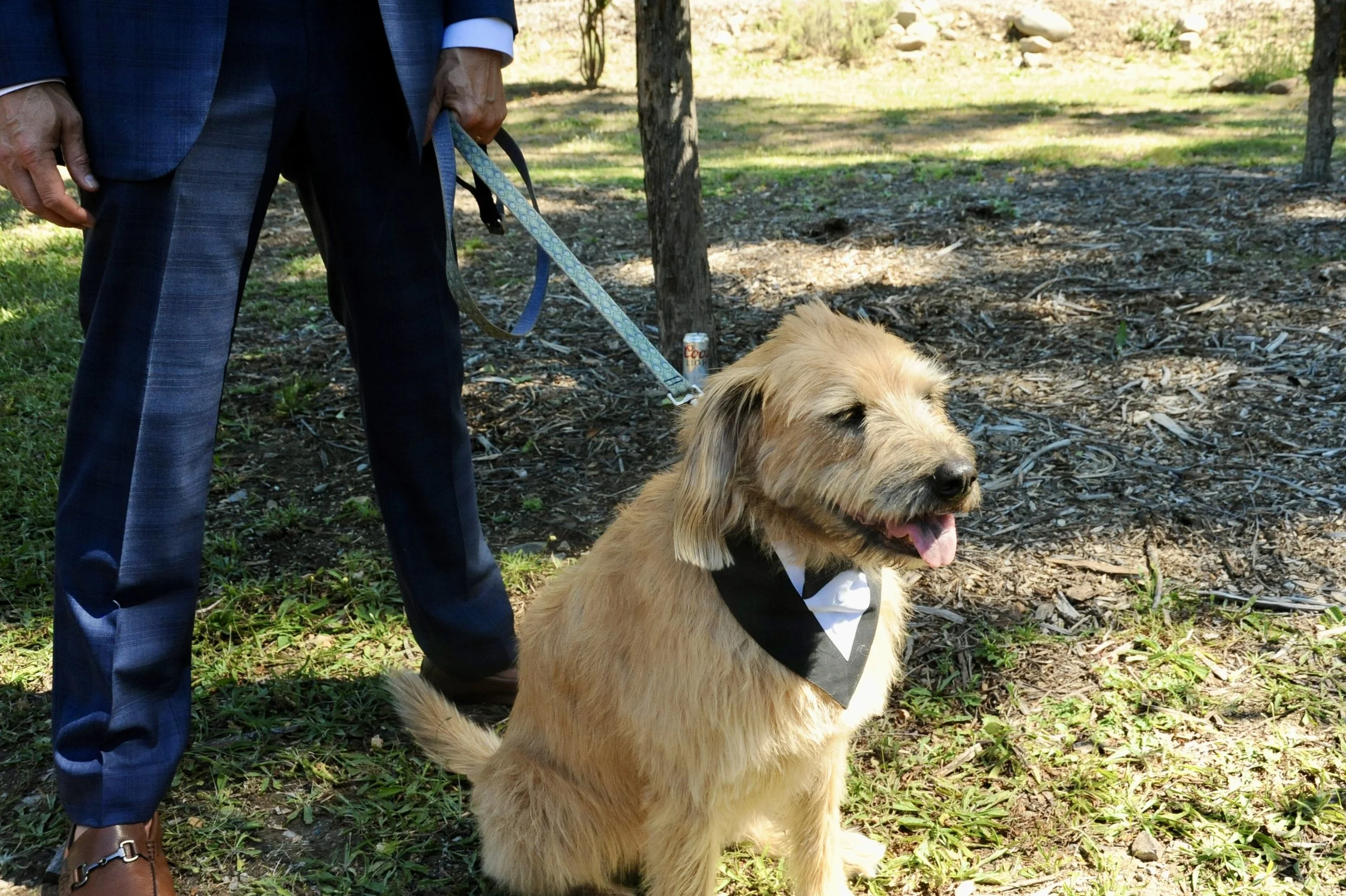 DSC_6214.jpg