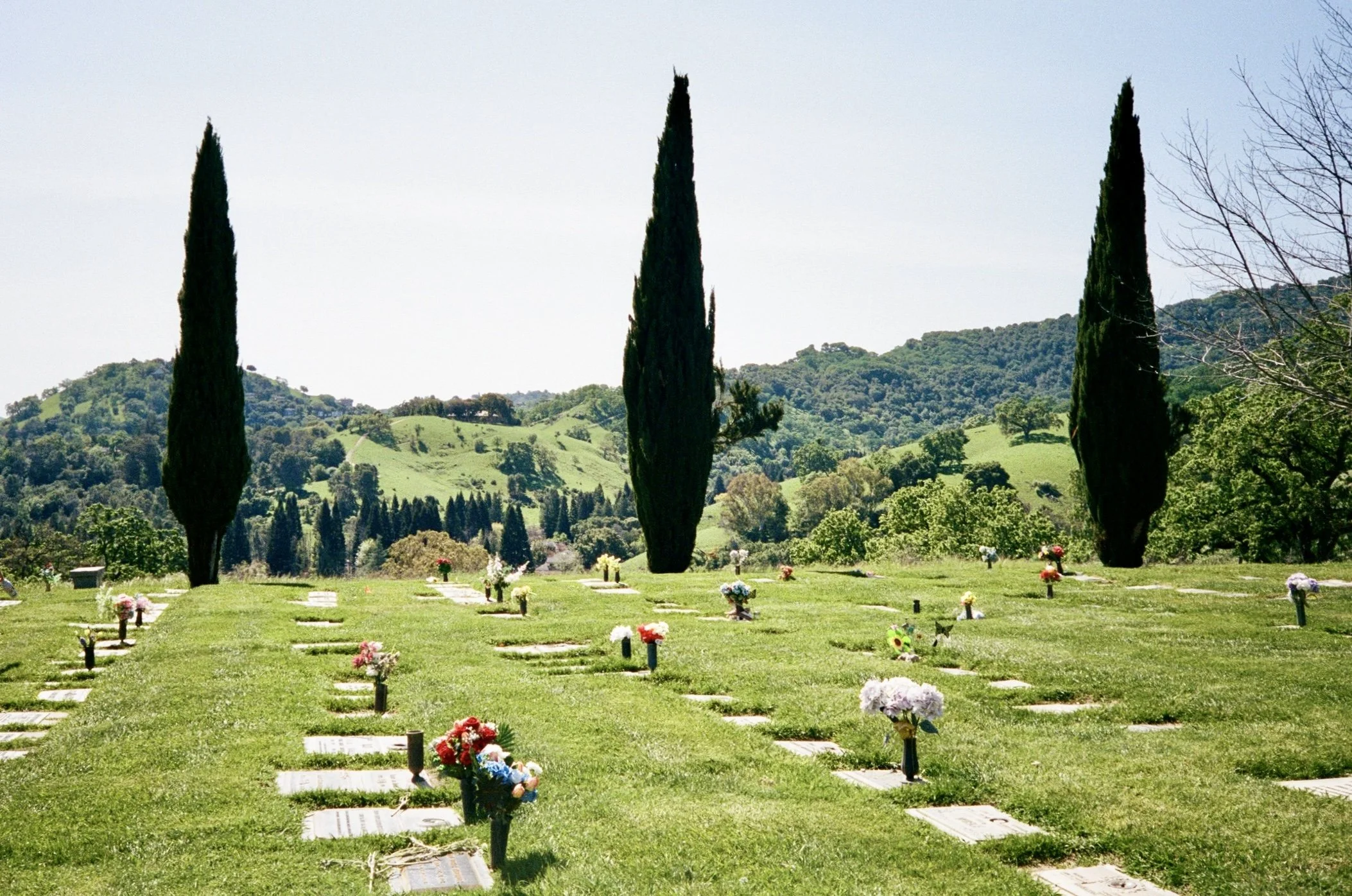 000951200026_25A 2.jpg