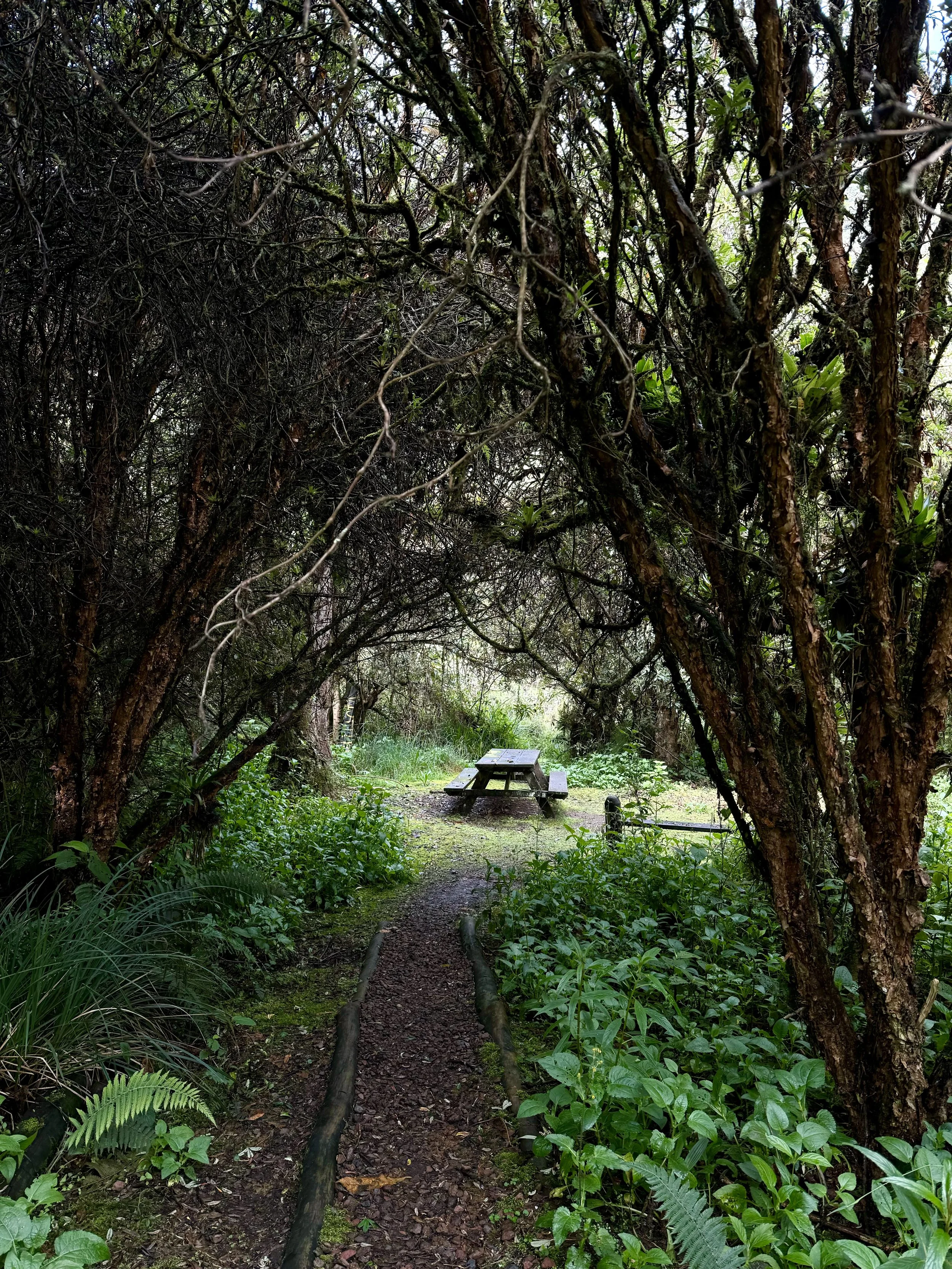 Pain Was All That I Was