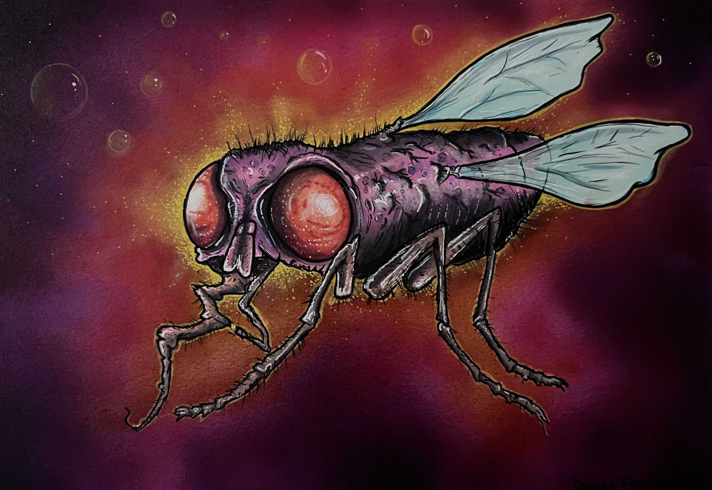 Zombie Fly 9x12 •2020•