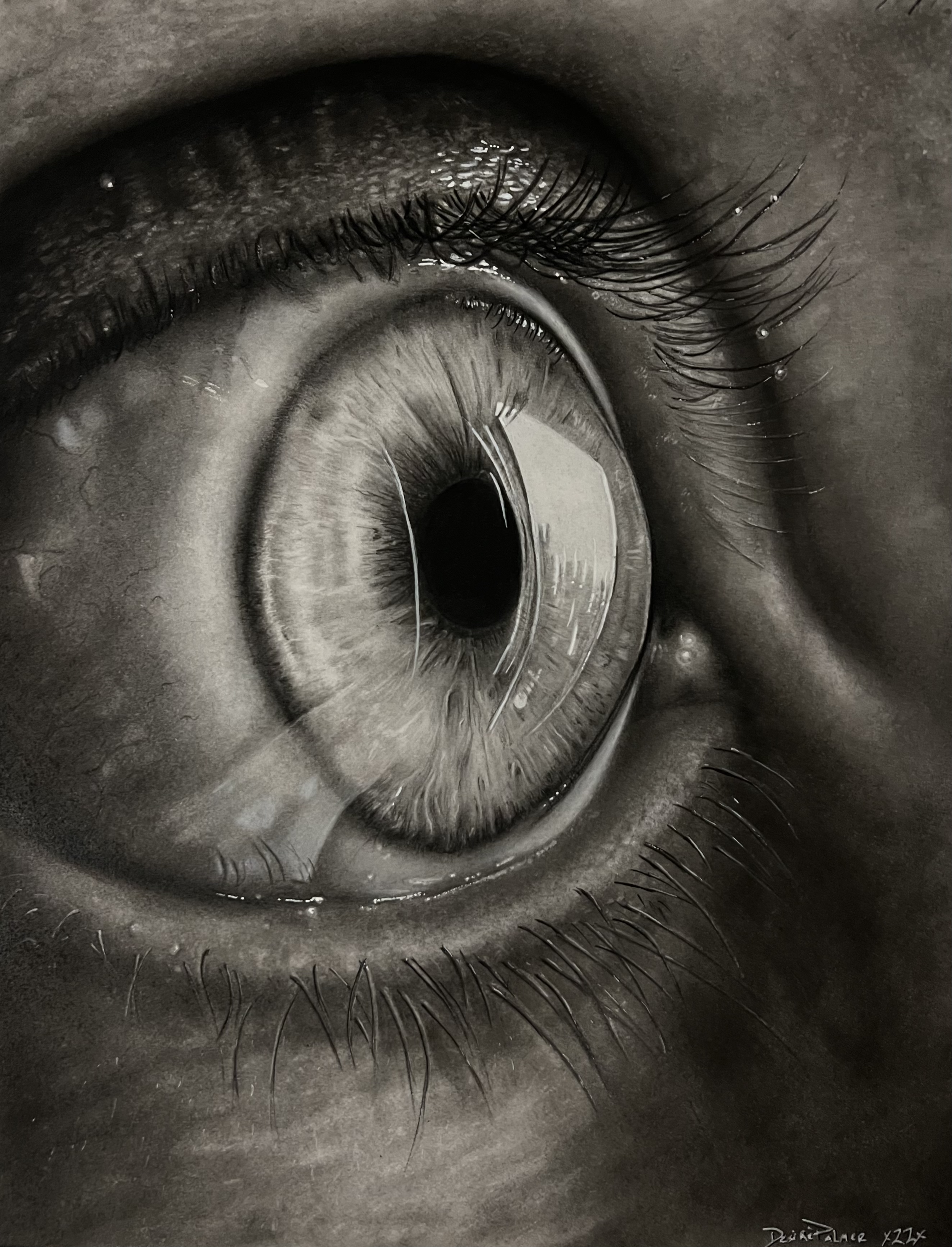 The Eye. 11x14 •2022•