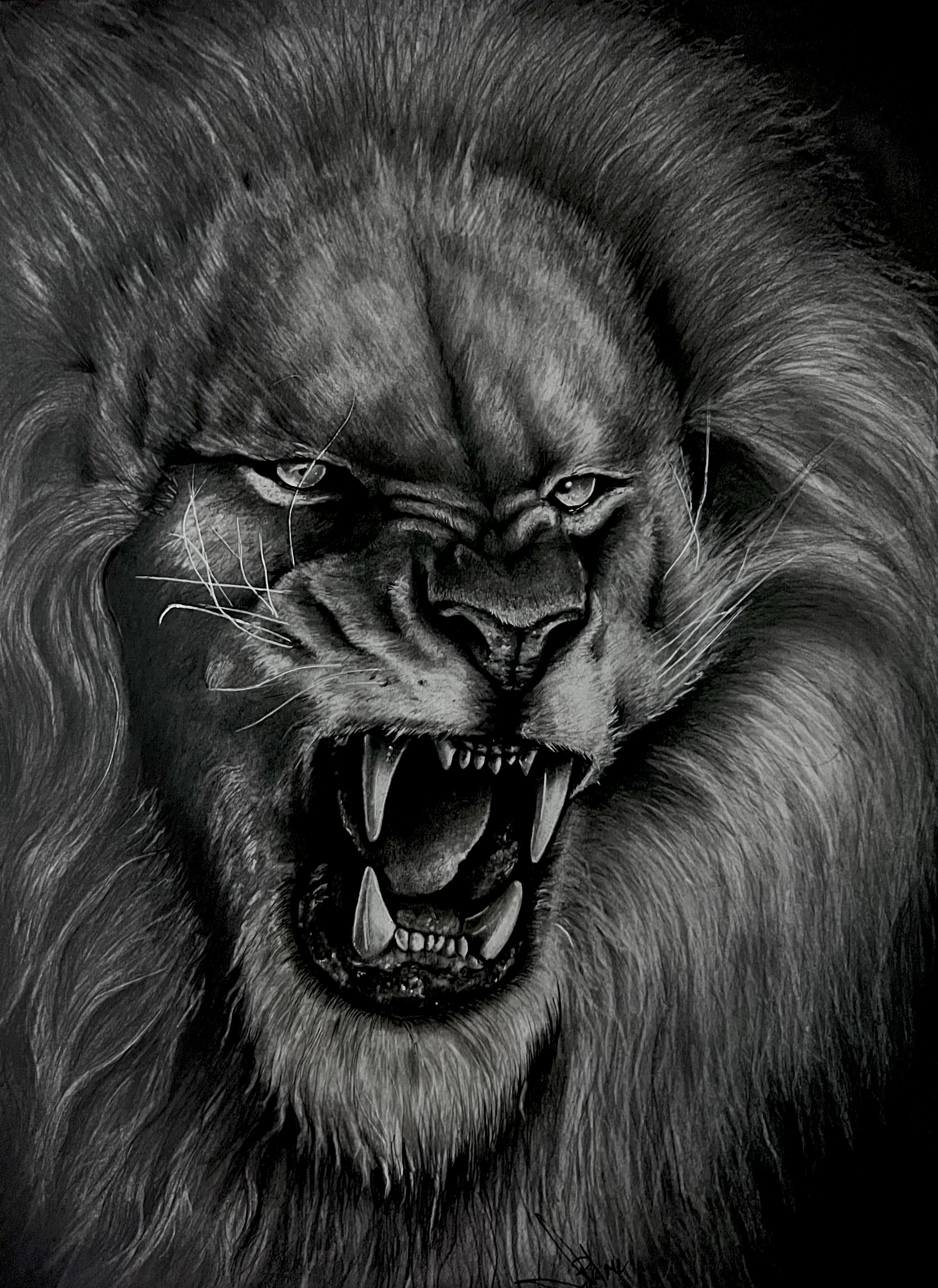 Roaring Lion 11x14 •2021•