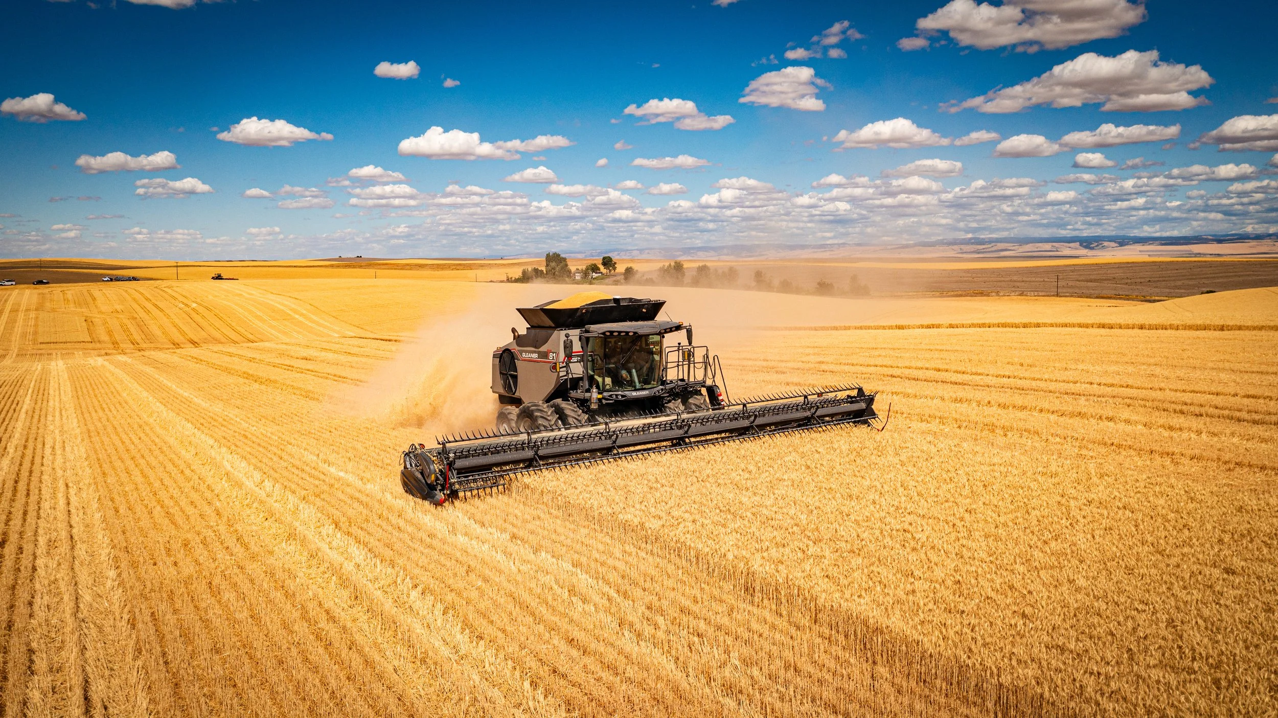 A large combine harvester harvesting wheat in a vast golden field under a blue sky with scattered clouds.