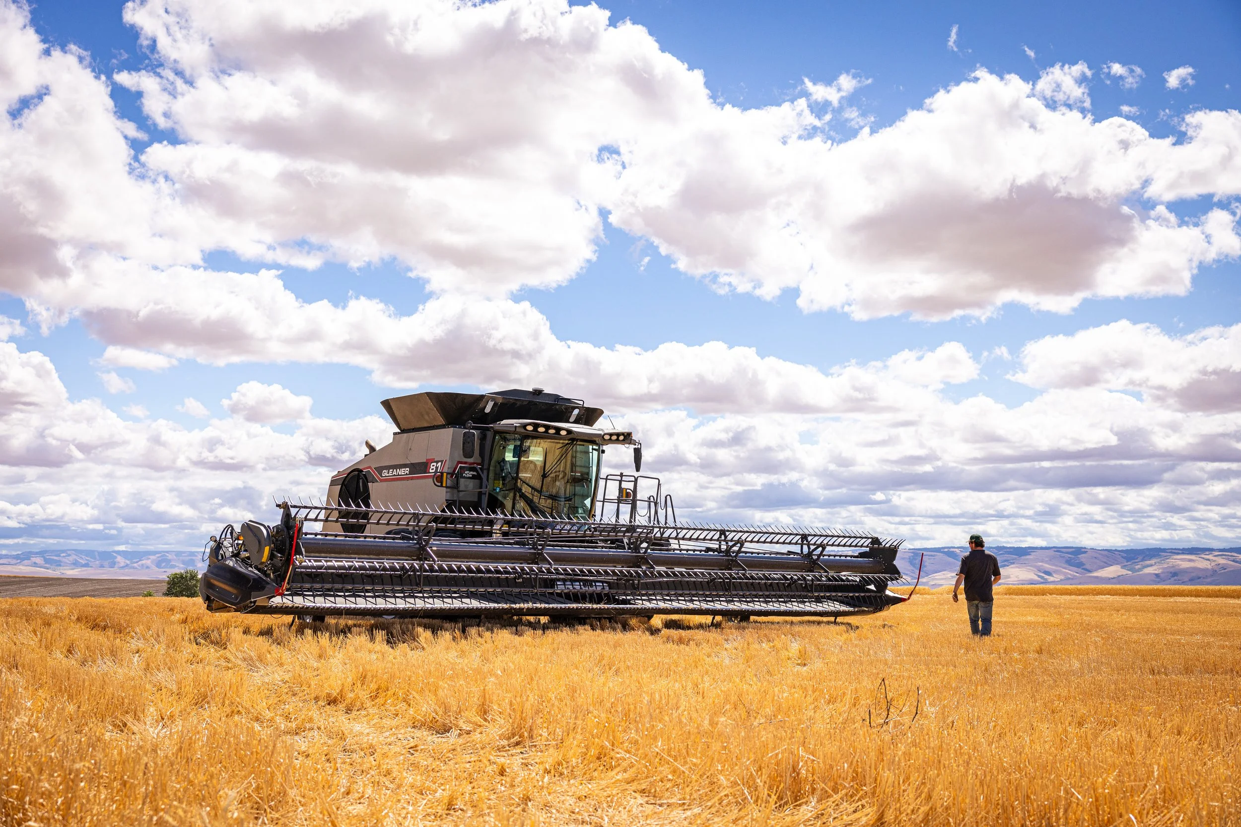 A large agricultural combine harvester on a wheat field under a cloudy sky, with a man walking nearby.