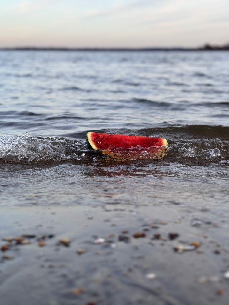 Photo by Daisy Nunez