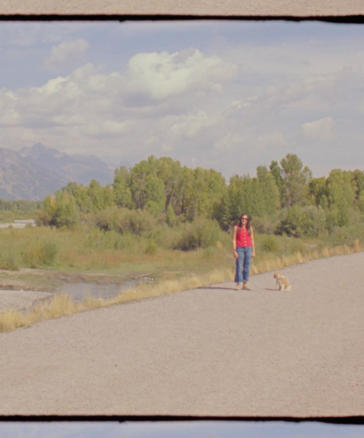 Jackson Tetons Photographer Dog