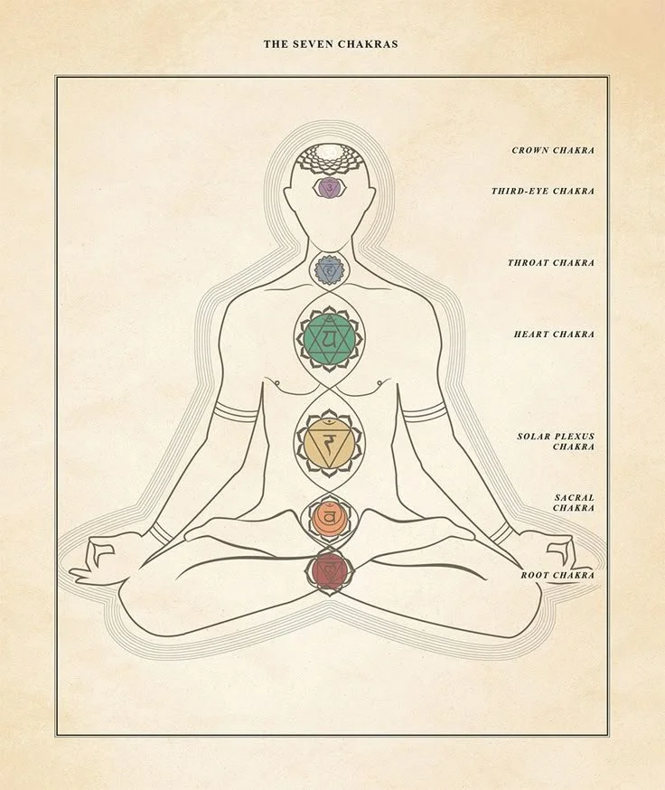A diagram of the 7 chakras in the body