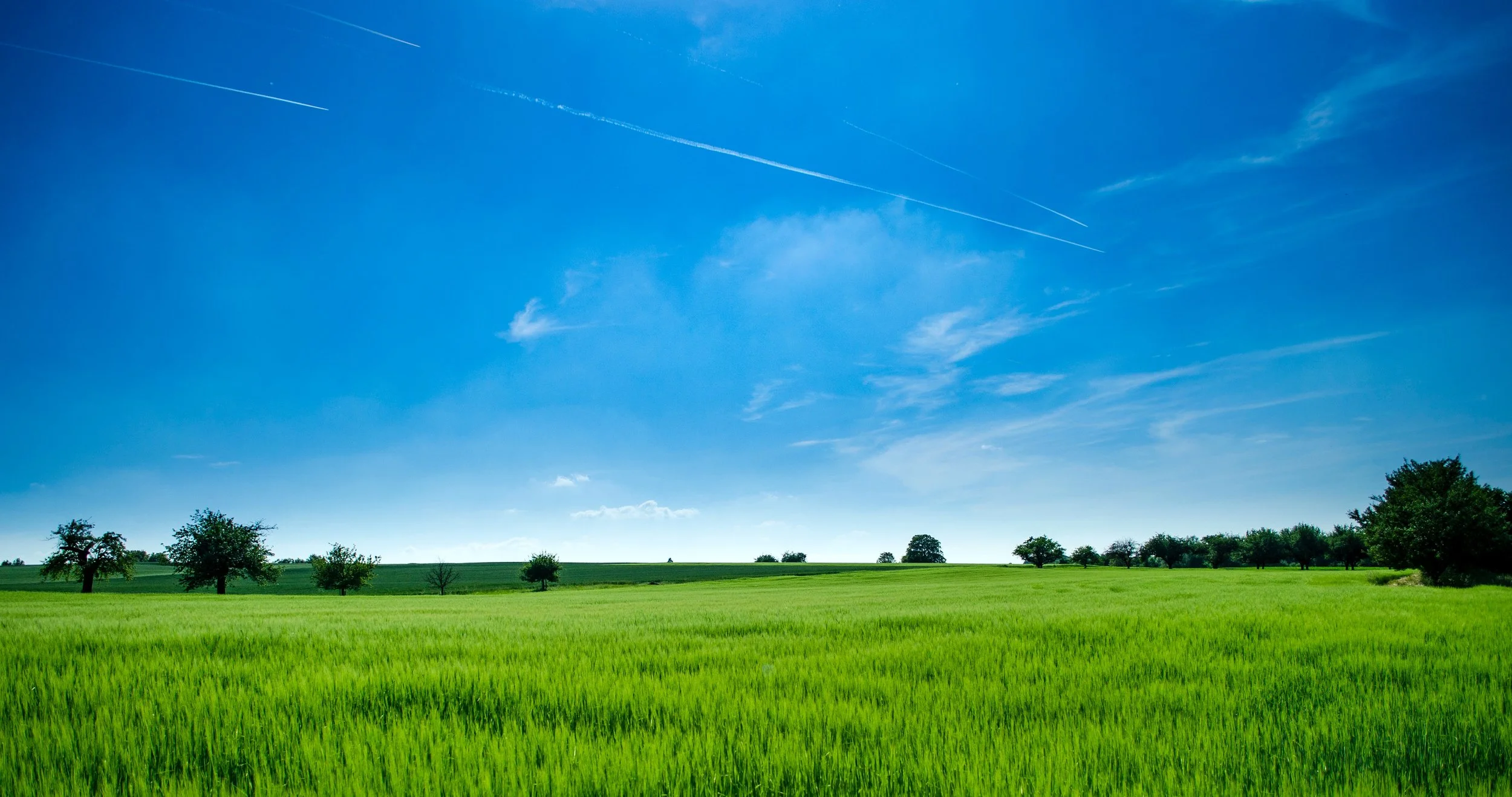 LaGrange Township