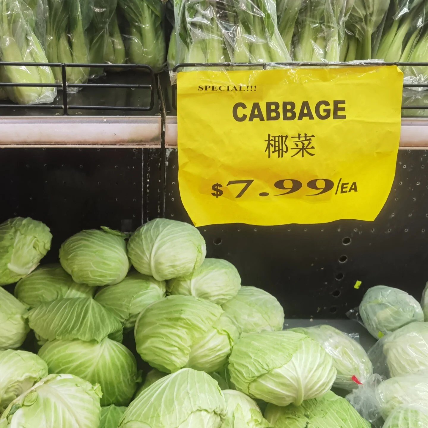 I did a double take on this one. Got out to the car and thought &lsquo;did I really just see cabbages for $7.99&rsquo;? So went back into the store to check. Cheap Chinese Supermarket that caters for older Chinese who walk to the shop with their old-