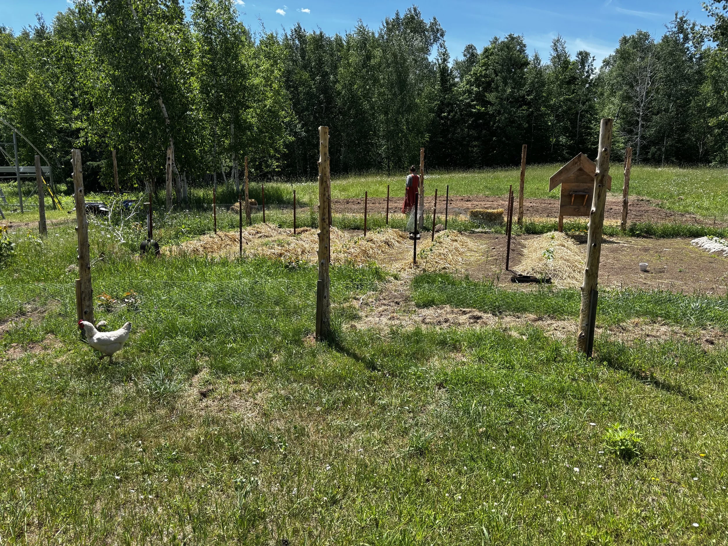 IMG_9889.jpeg