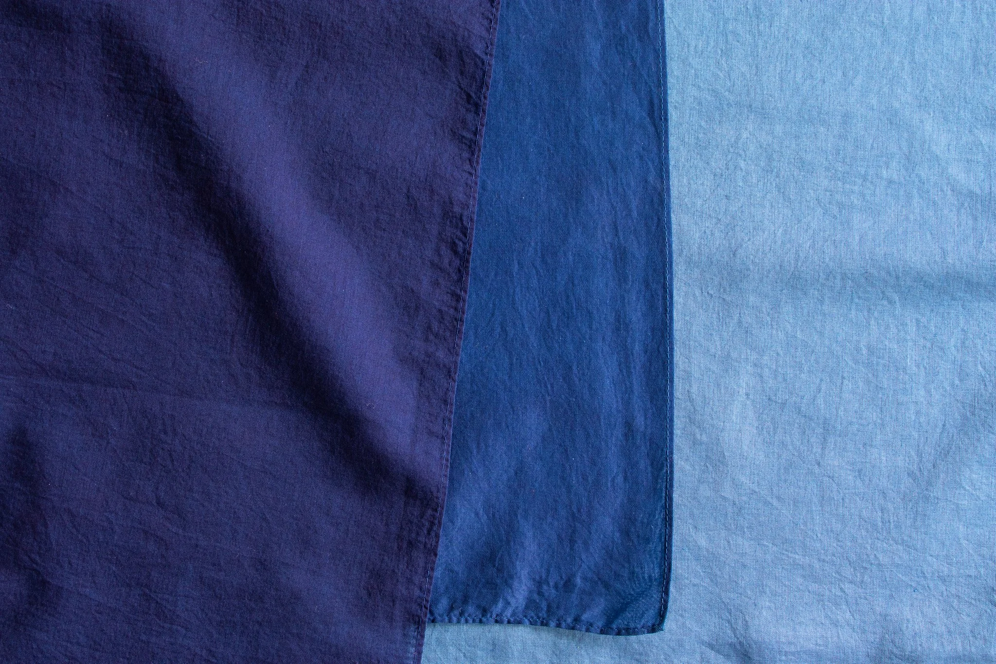 indigo 2025-348.jpg