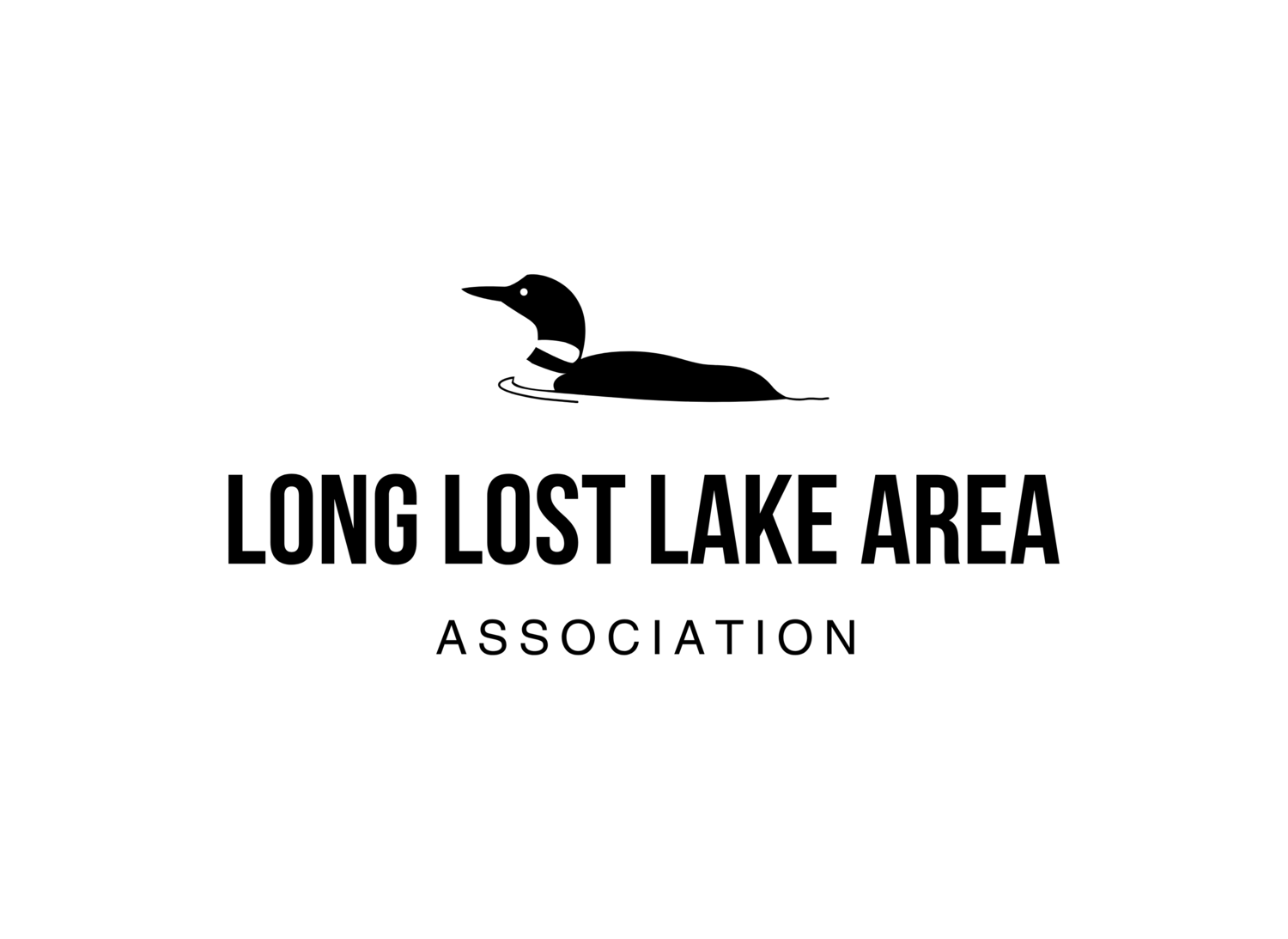 Long Lost Lake Area Association