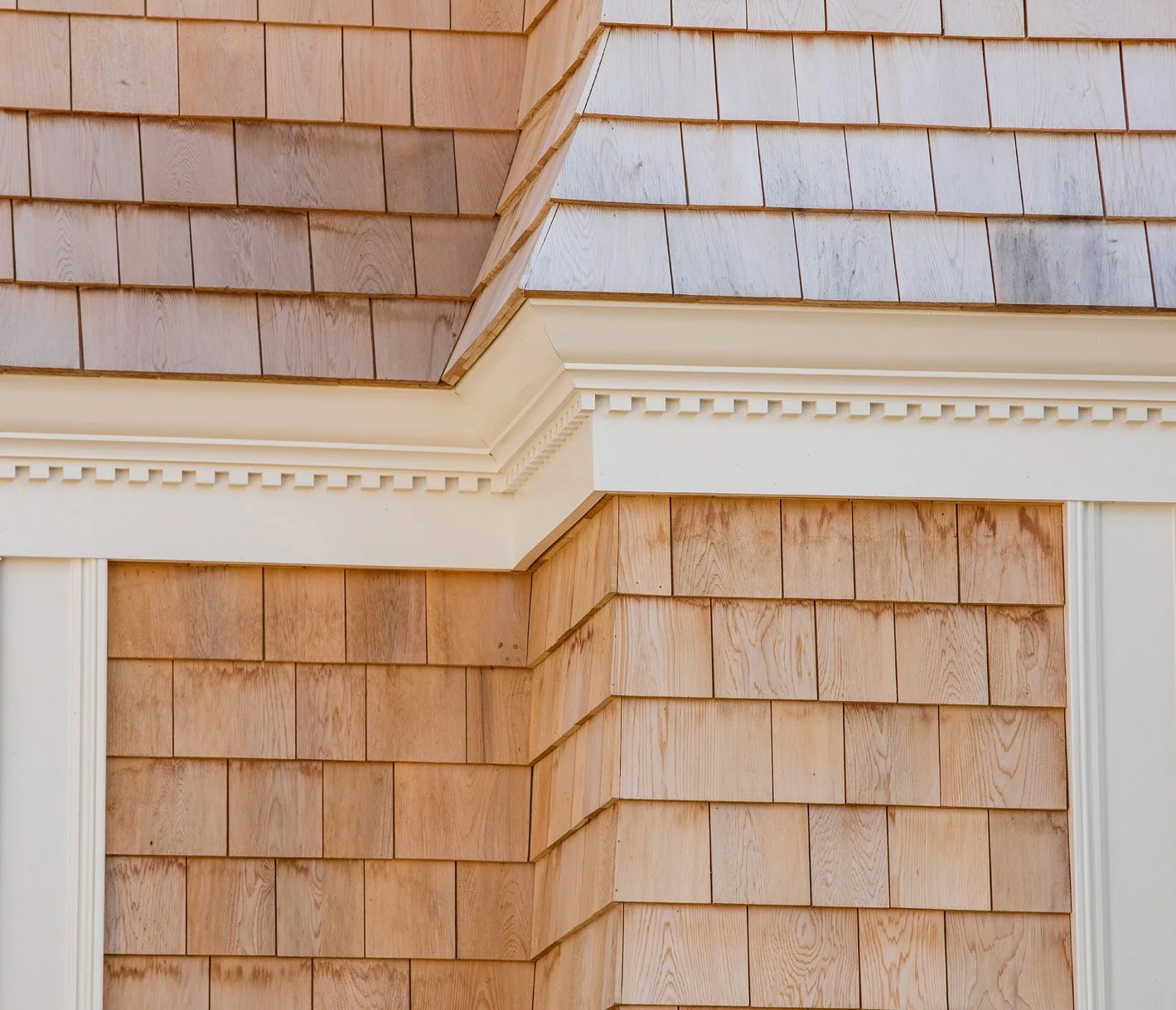 Vignette 04 Crop.jpg