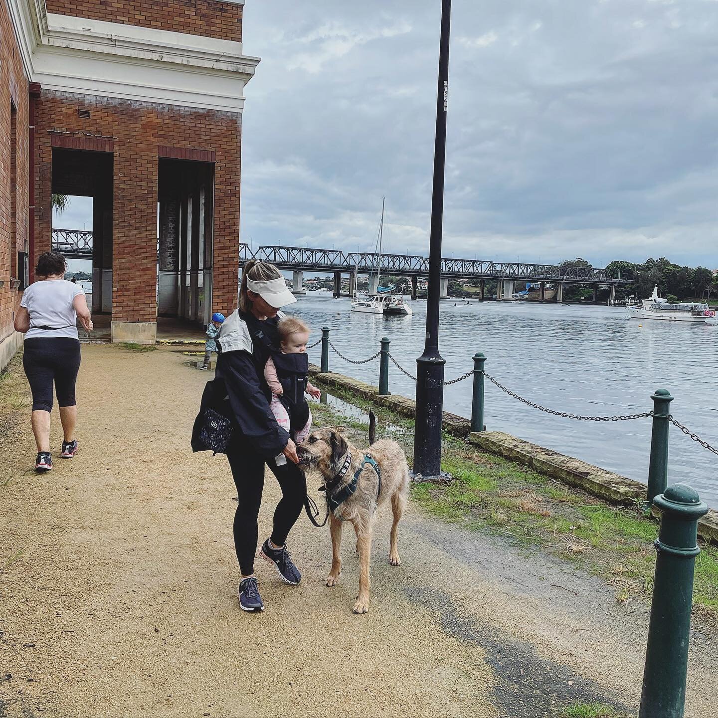 Baby behaviour mod = behaviour modification, with a baby 😂
.
.
The last few months Biscuit and Frankie have had a decline in on leash behaviours around other dogs. This is largely due to my reduced ability to manage the environment and reinforce alt