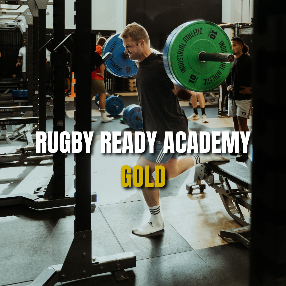 Rugby Ready Academy Gold