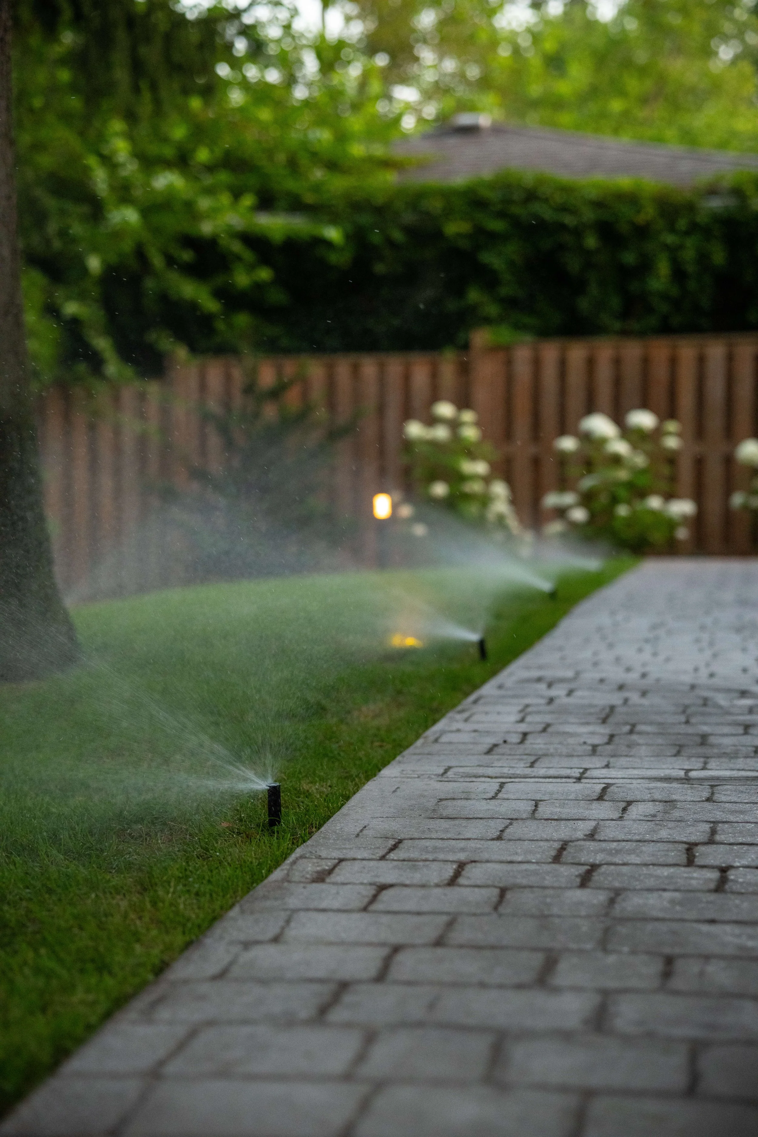 windsor_landscaper_irrigation spray heads.jpg