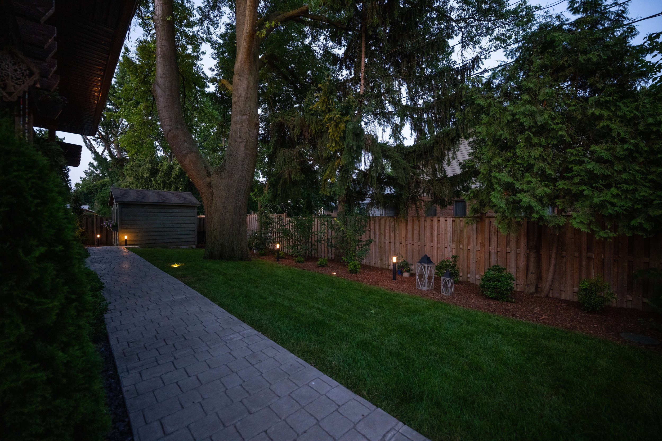 windsor_landscaper_ backyard new lawn.jpg