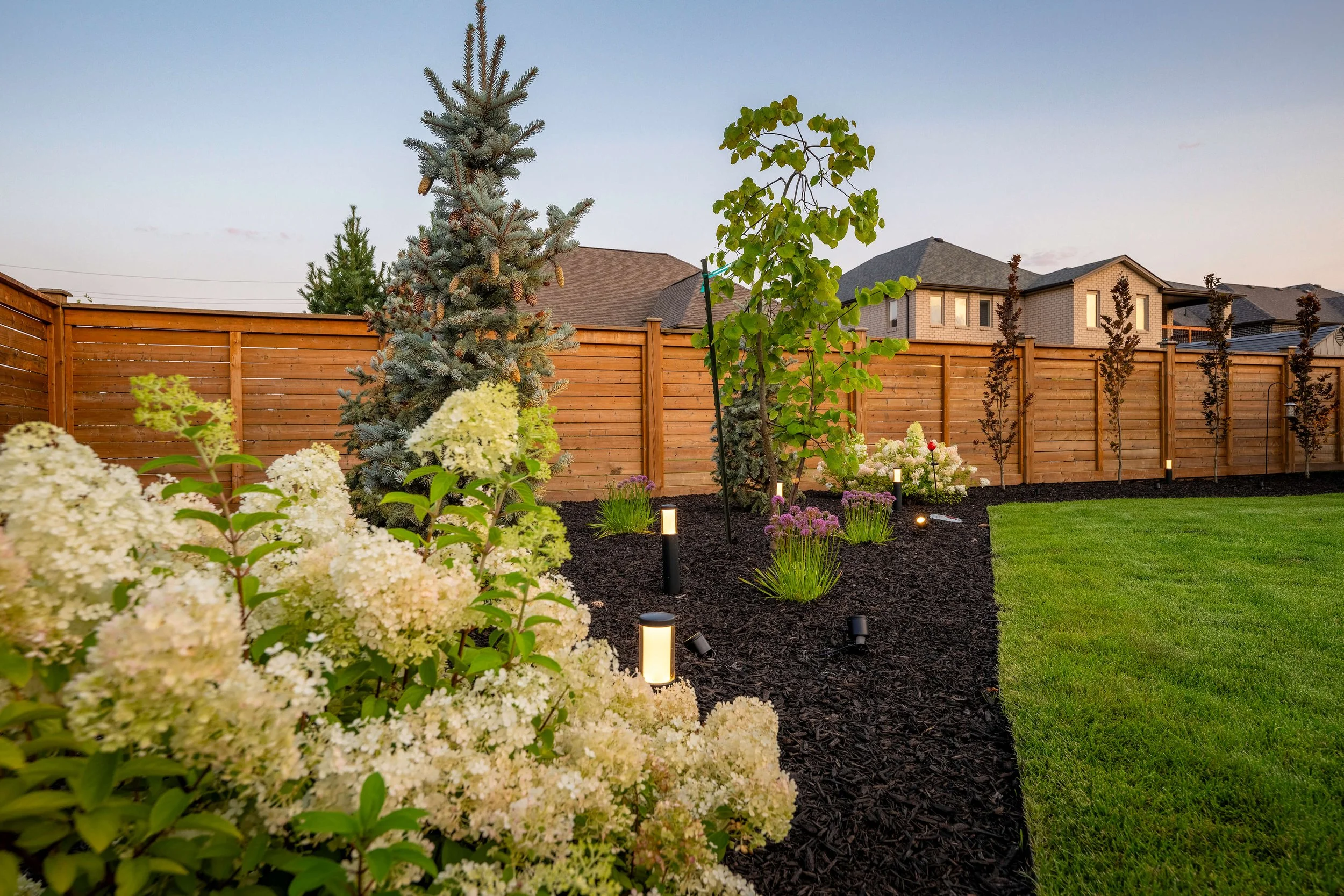 lasalle-garden-landscape-lighting-trees.jpg