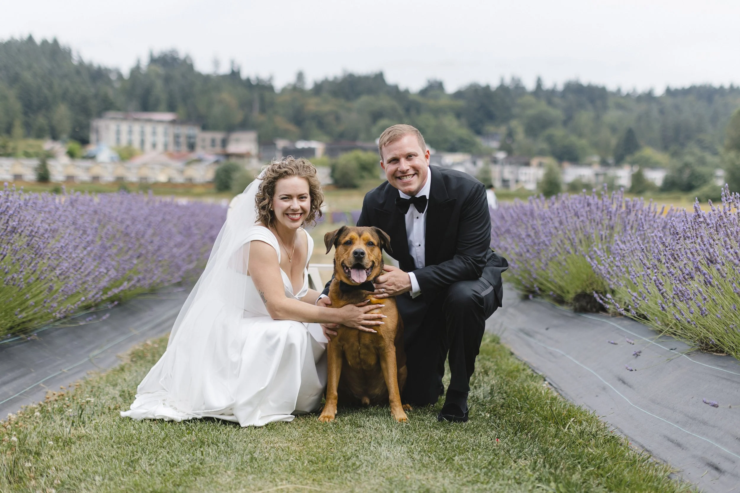 A newlywed couple dressed in wedding attire, with a woman in a white wedding dress and a man in a tuxedo, kneeling next to a brown dog, in a lavender field with a scenic background.