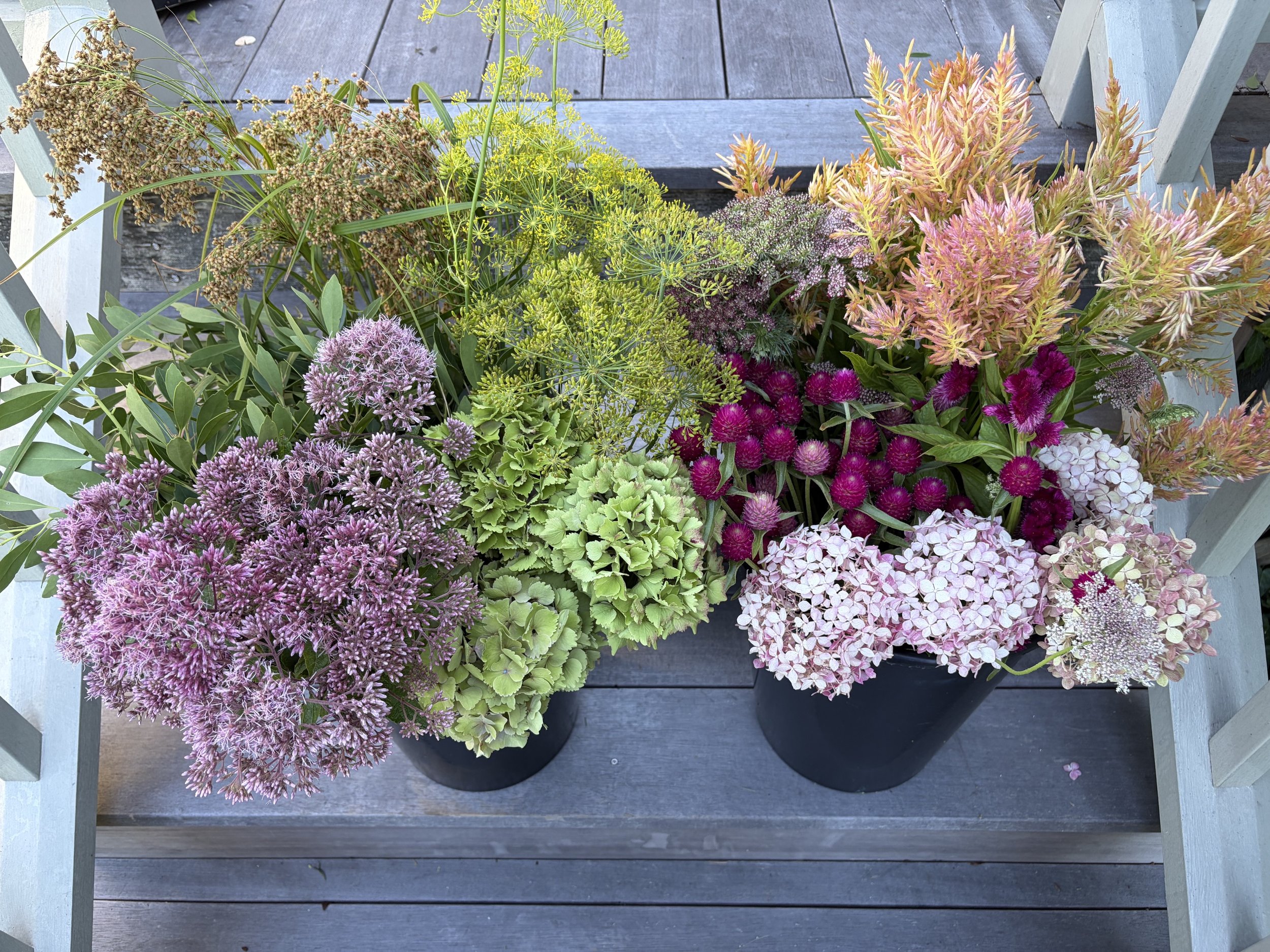 image2 (38).jpeg