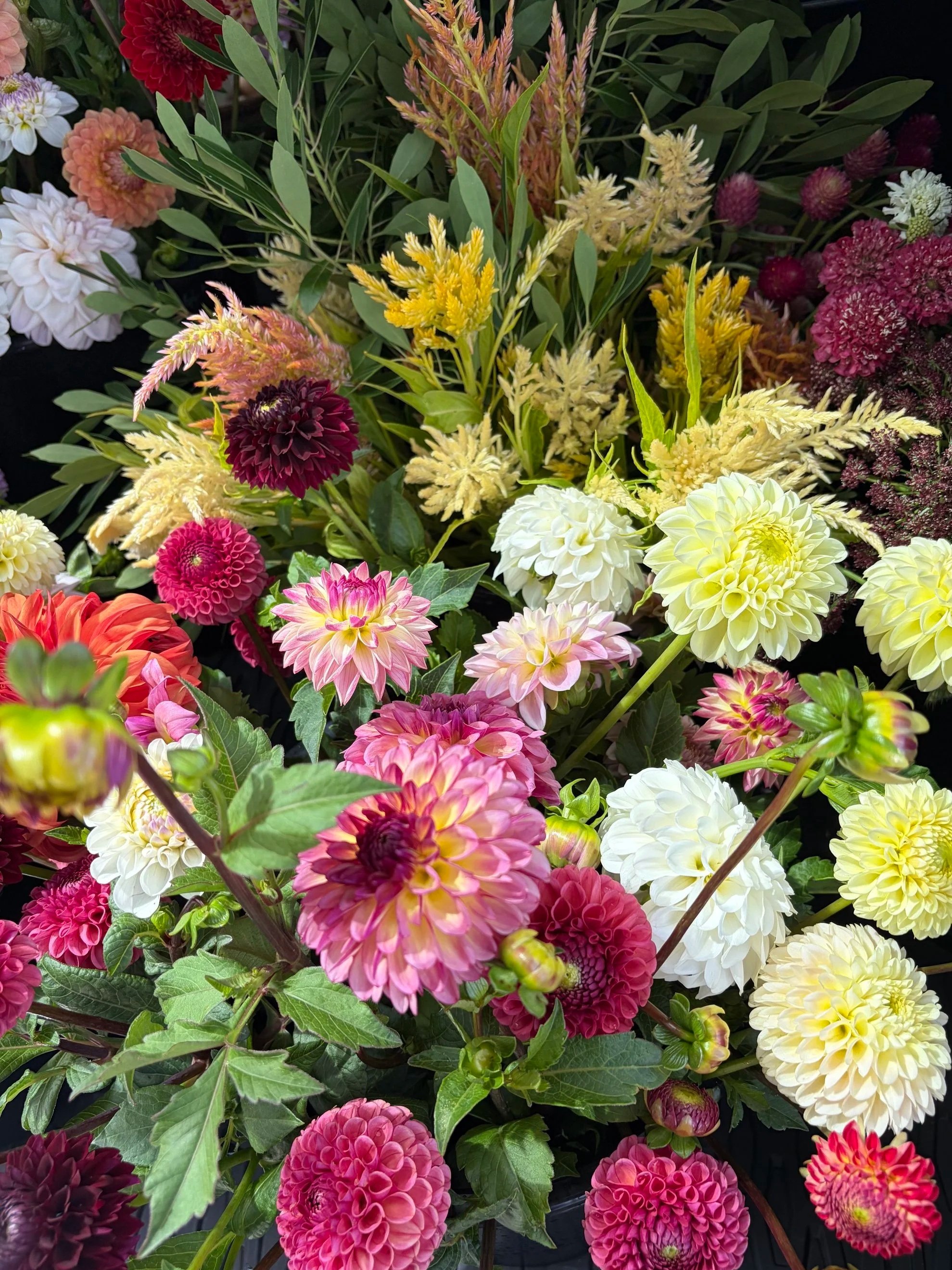 image0+%2881%29.jpg