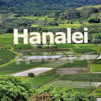 Night Marchers in Hanalei Valley