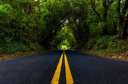 oahu ghost tour morgan's corner nuuanu pali drive