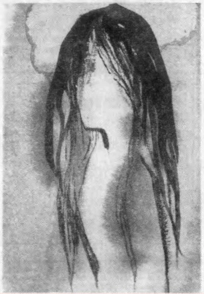 Honolulu ghost tour faceless woman artist rendering from 1959 newspaper article