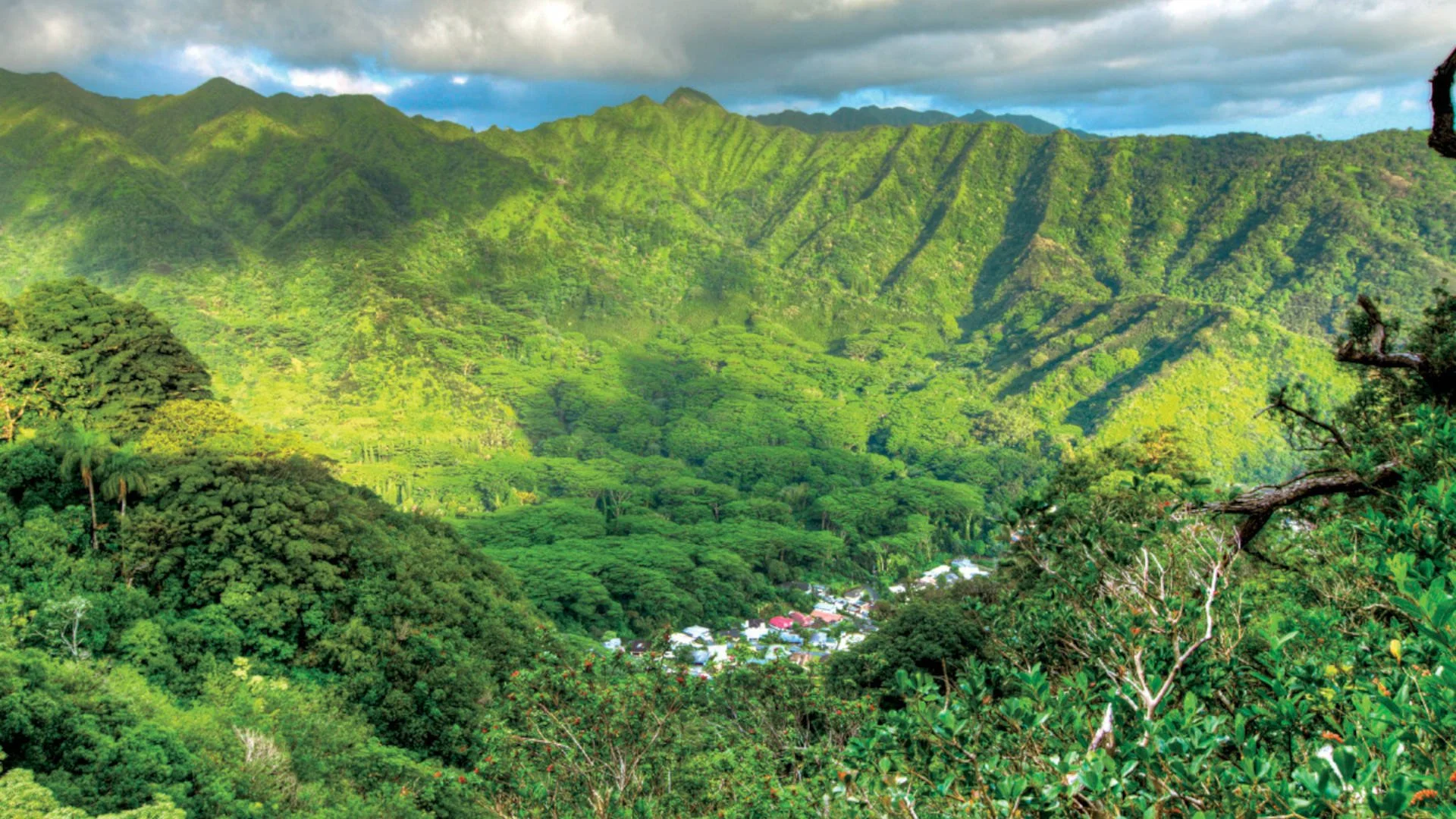 Honolulu ghost tour in Haunted Manoa Valley