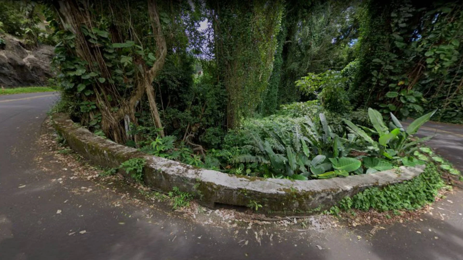 Honolulu ghost tour hairpin turn at Haunted Morgan’s Corner