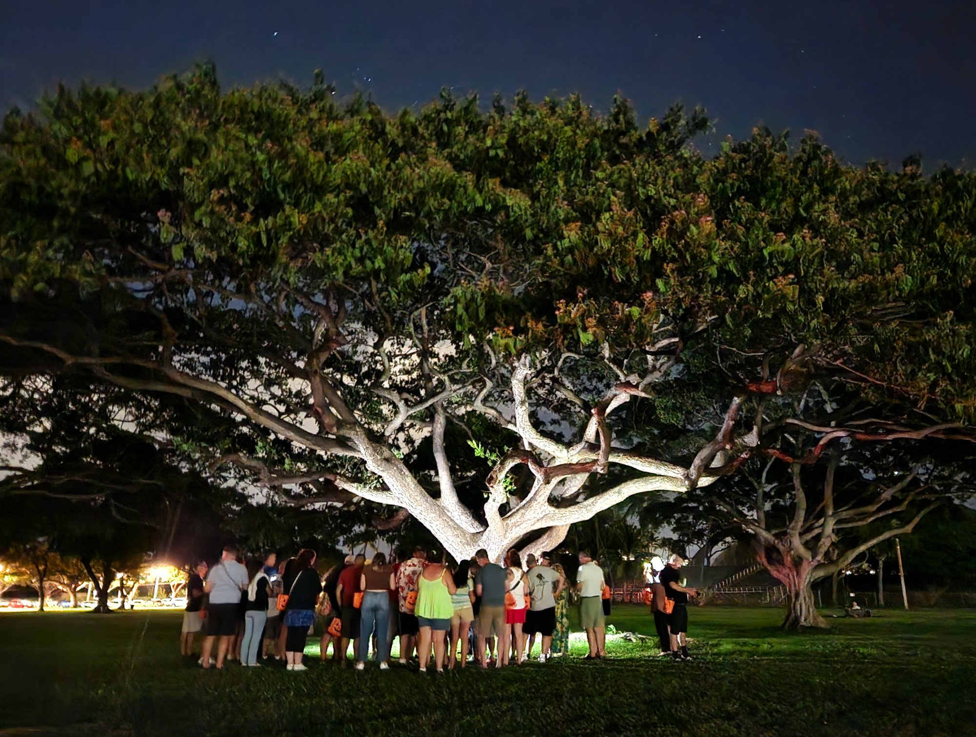 Honolulu ghost tours Waikiki Night Marchers under the haunted tree in Kapiolani Park