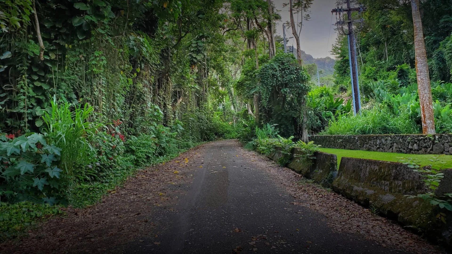 Honolulu ghost tour at Haunted Kiona‘ole Road, also known as the second Morgan's Corner
