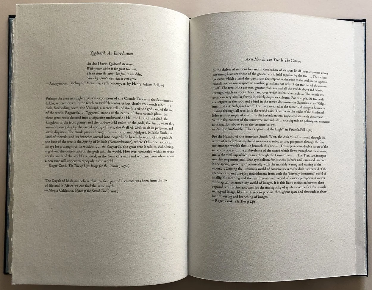 Yggdrasil Axis Mundi2 (1).jpg