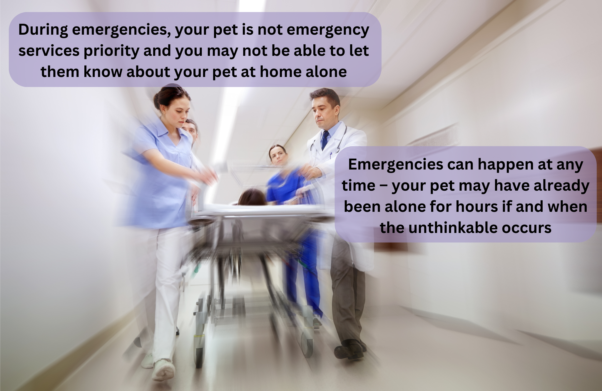 Your paragraph text-6.png