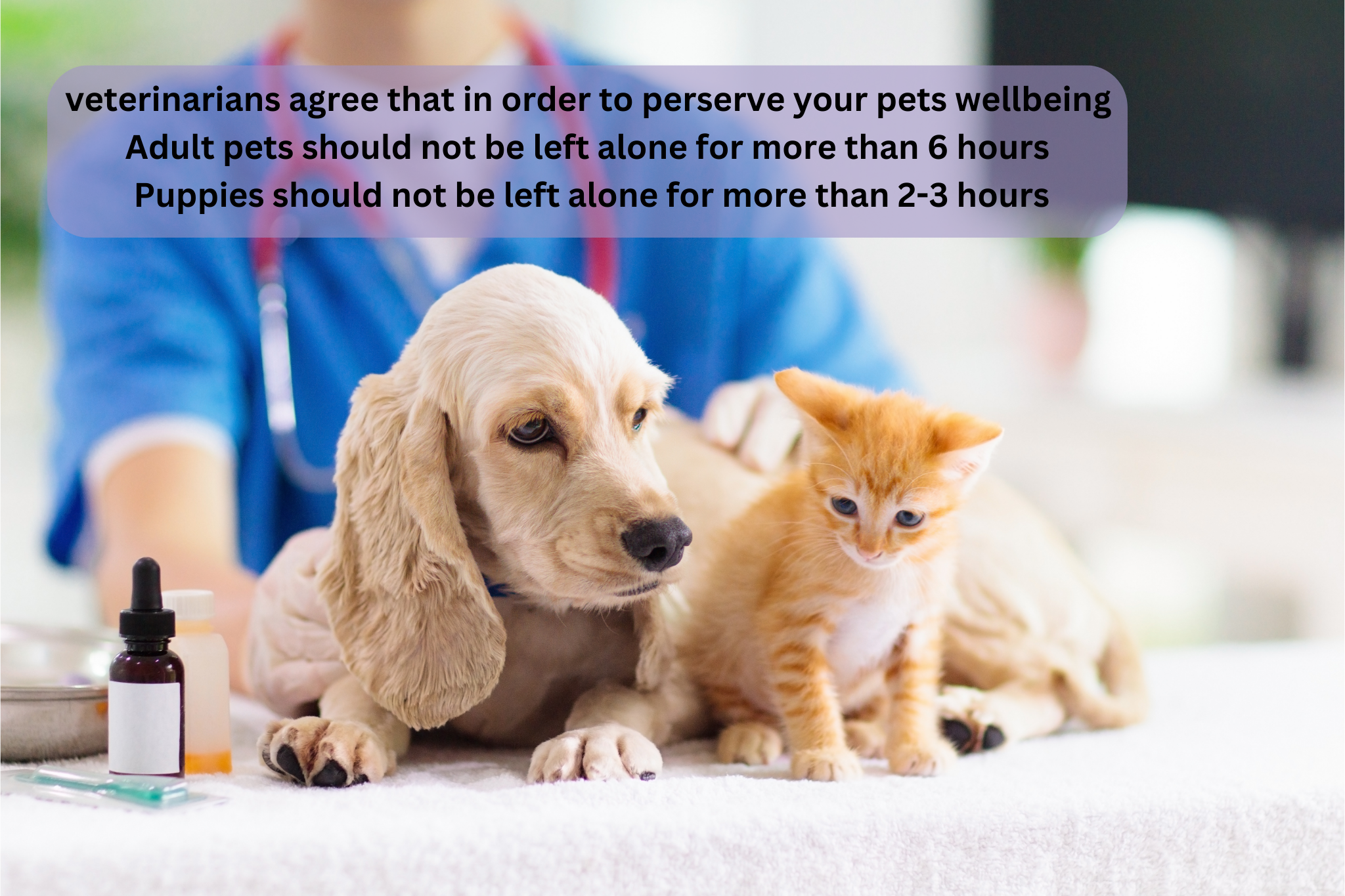 Your paragraph text (7).png
