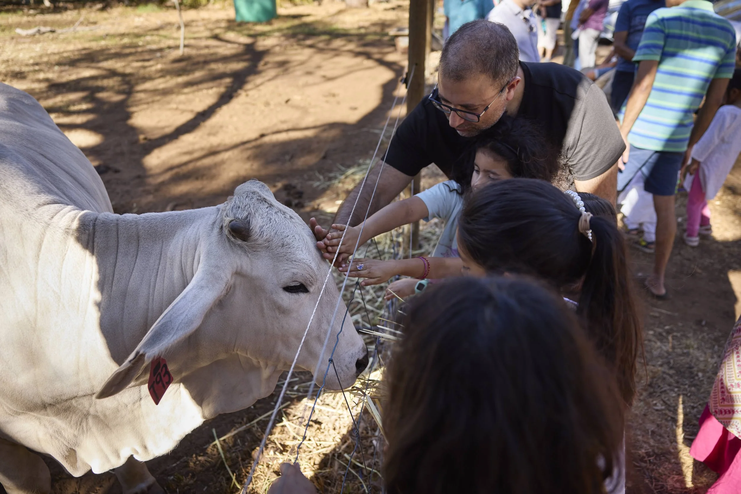 Art Sanctuary-240316-BhuMeJha-014.jpg