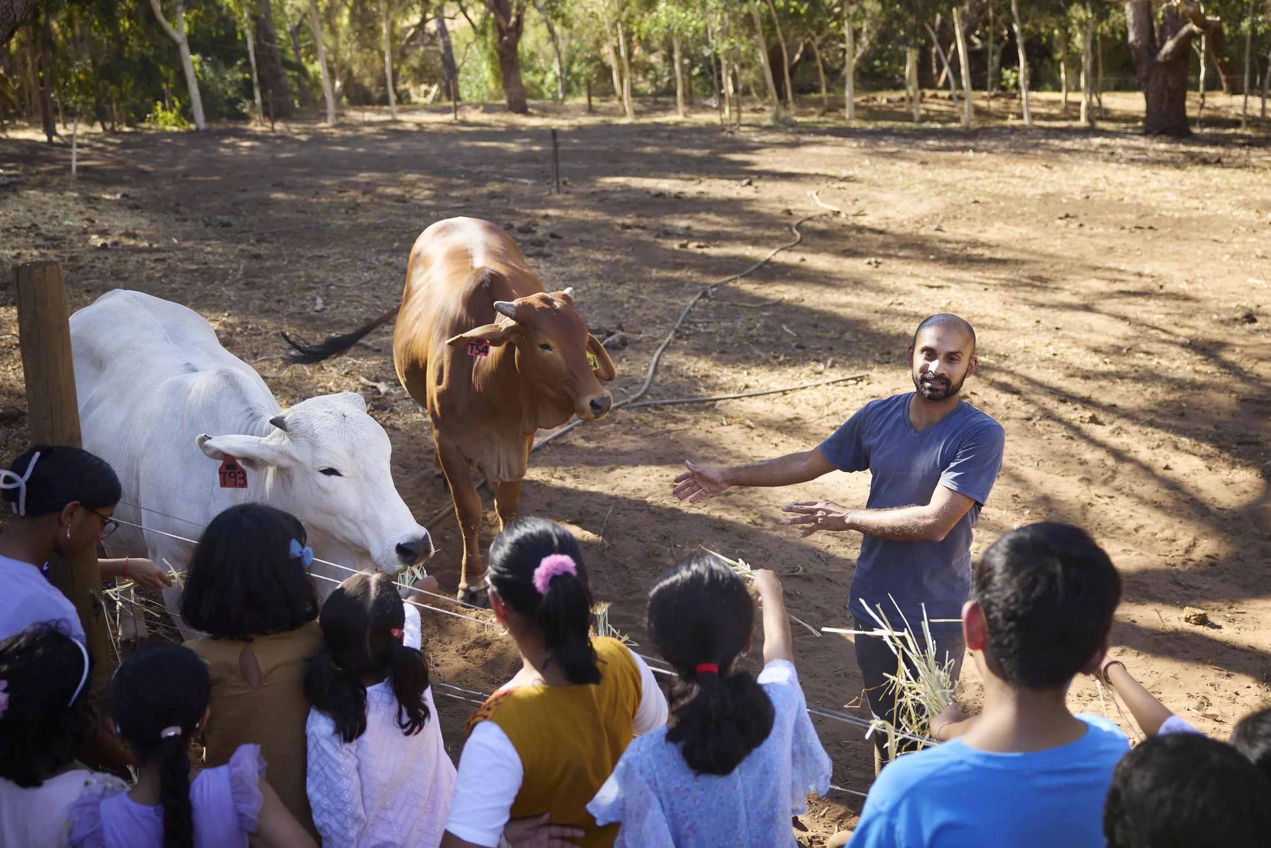 Art Sanctuary-240316-BhuMeJha-010.jpg