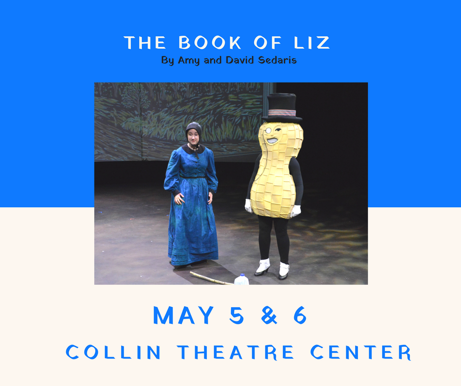 Book of Liz
