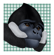 Asset 10.png