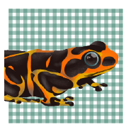 Asset 23.png